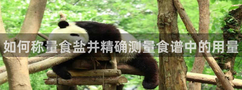 威九国际ppt免费吗