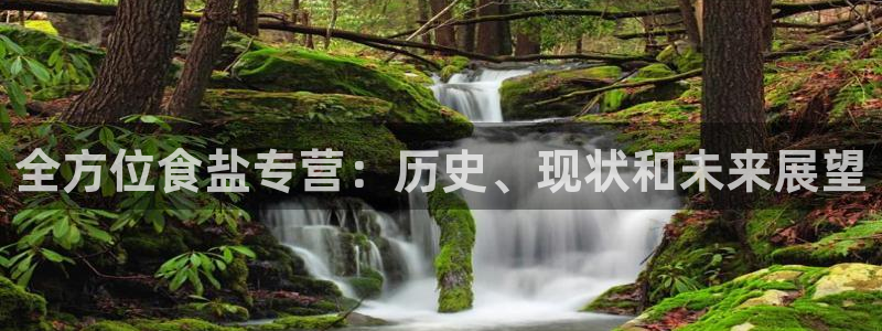 威九国际空降服务女演员名字