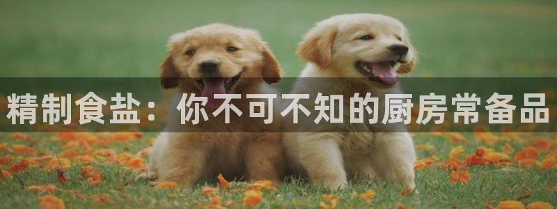 威九国际抡里