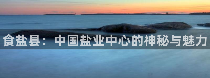 威九国际软件