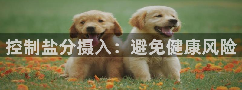 威九国际app网站官网