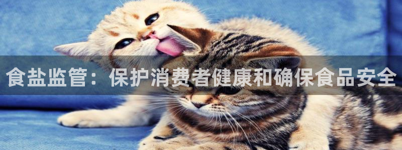 威九国际抡里