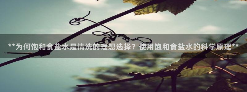威九国际小剧场