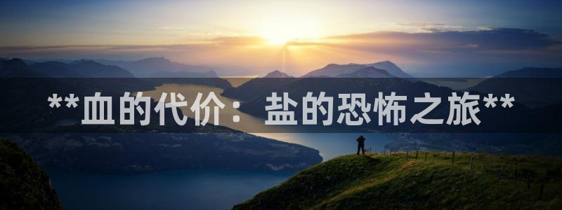 威九国际男主