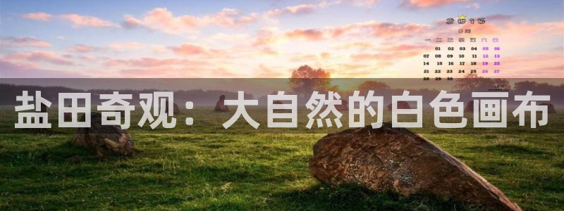 威九国际女演员名单介绍
