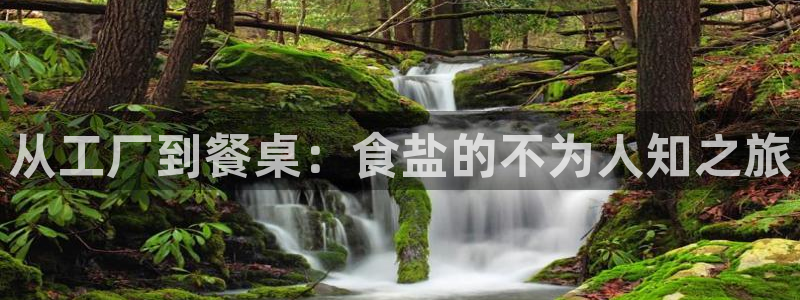 威九国际PPT