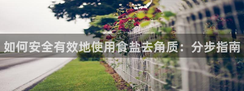 威九国际小说