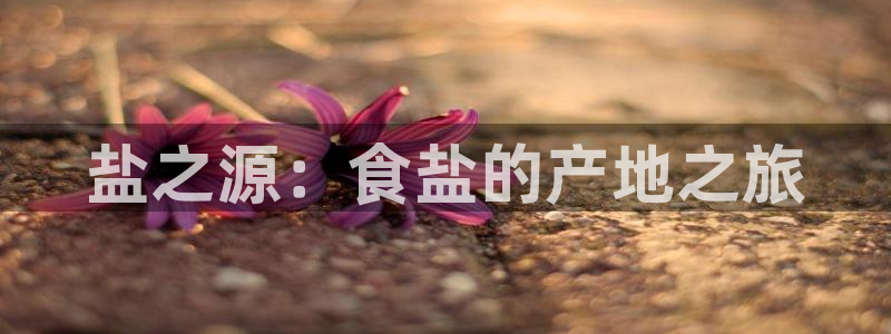 威九国际免费