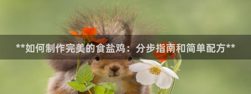 威九国际软件公司简介