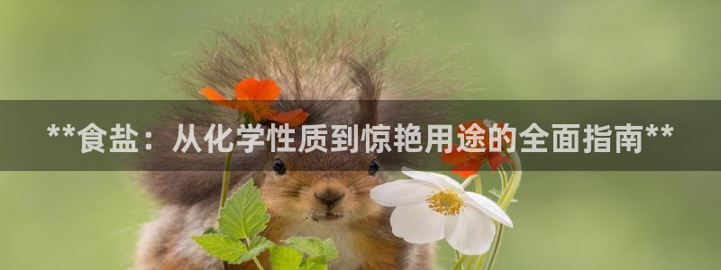 威九国际小广告