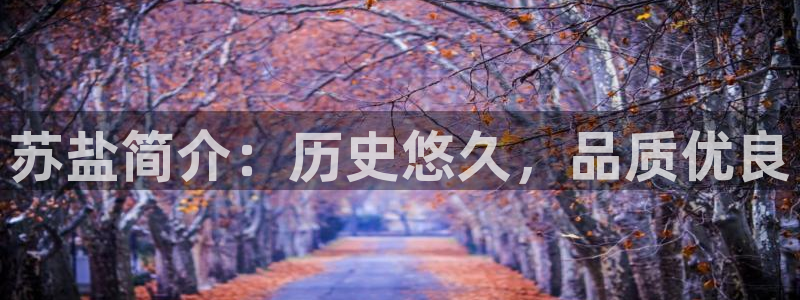 威九国际的女主