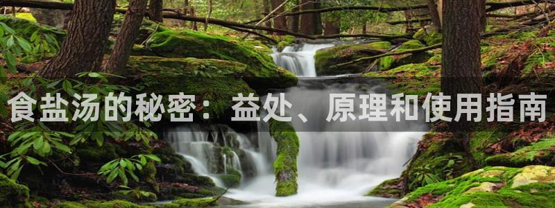 威九国际网站入口官网首页
