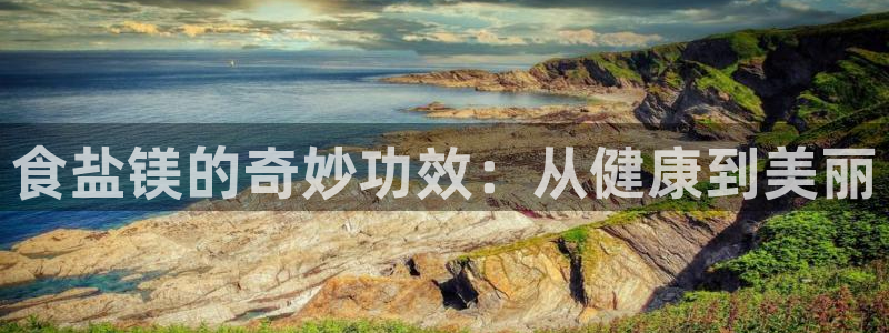 威九国际天美