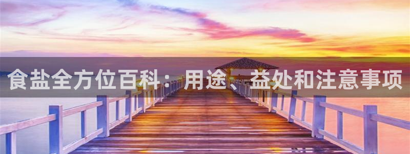 威九国际ppt官网