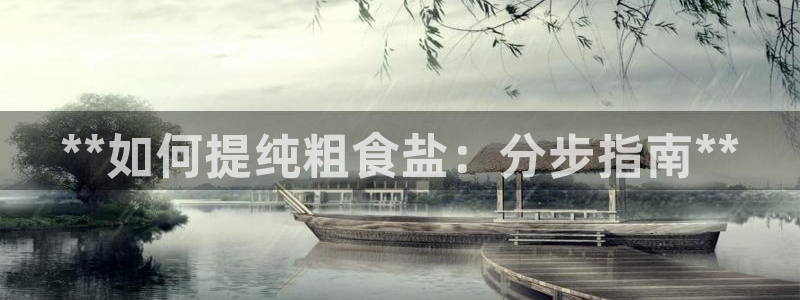 威九国际fX8x