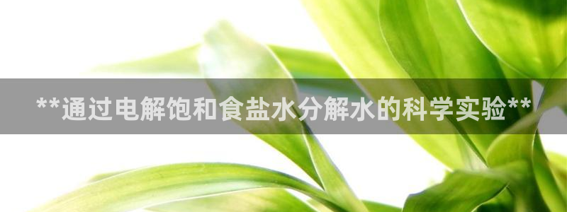 78mapp威九国际成全视频