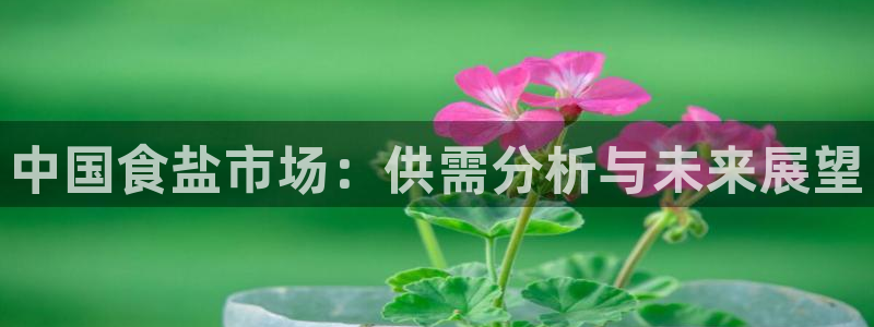 威九国际的女主