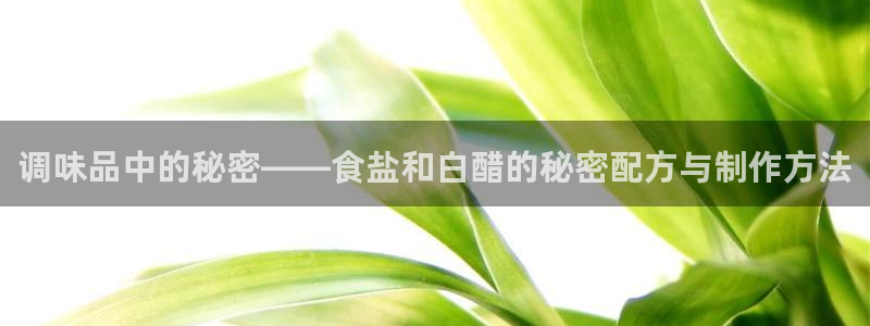 威九国际top