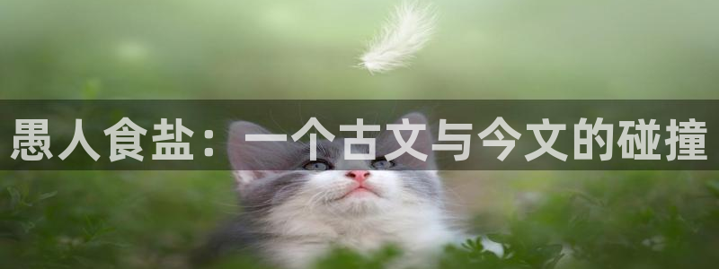 威九国际客服电话号码查询
