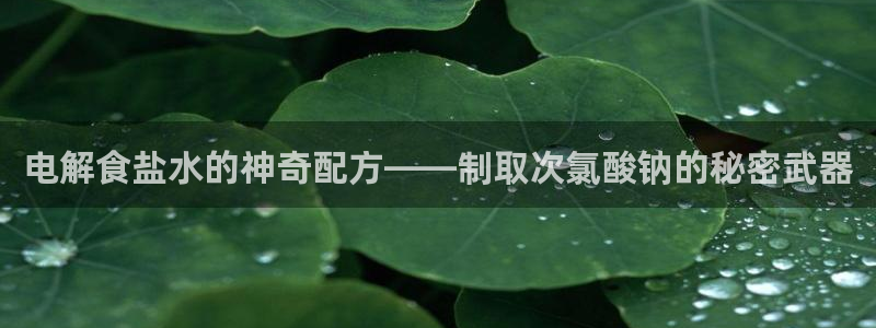 威九国际黑钱