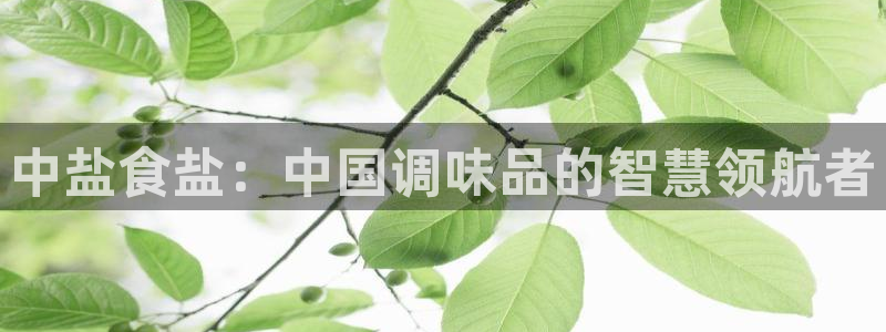 威九国际官方入口官网