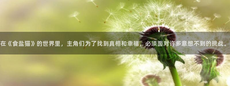 威九国际演员表：在《食盐猫》的世界里，主角们为了找到真相和幸