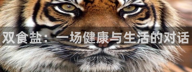 威九国际Info