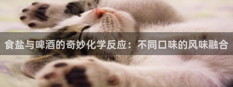 威九国际v8：食盐与啤酒的奇妙化学反应：不同口味的风味融合