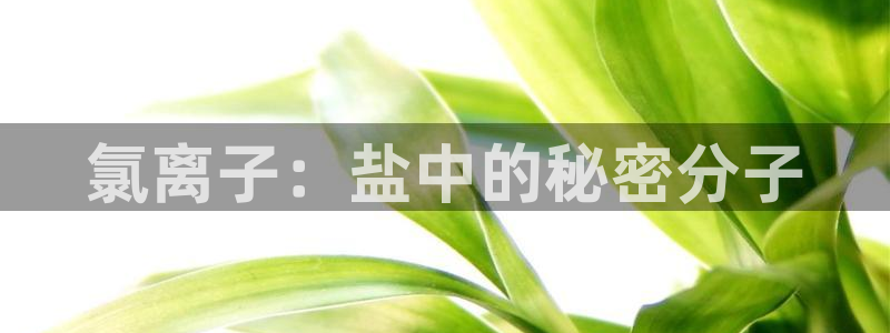 威九国际78mob游戏说明