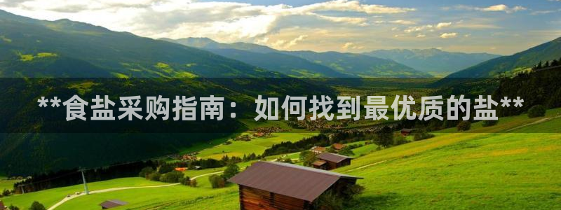 威九国际v96bet下载
