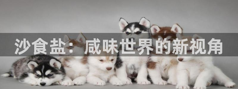威九国际ppt免费下载网址