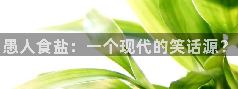 威九国际女艺人