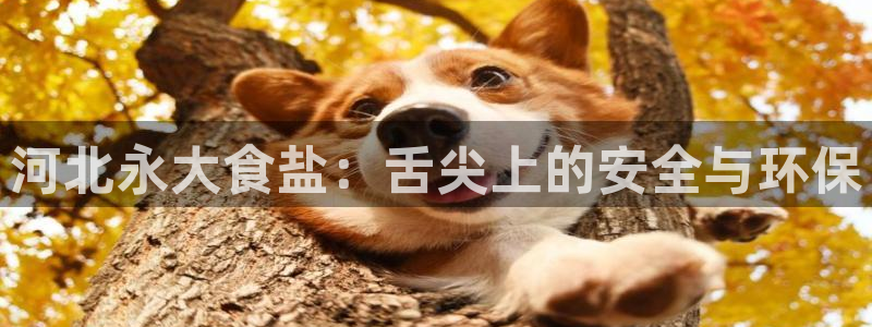 威九国际66m66成长模式