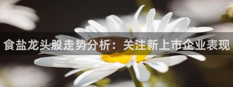 威九国际78mb官网