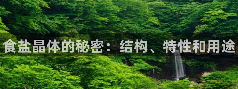 威九国际女演员名单介绍