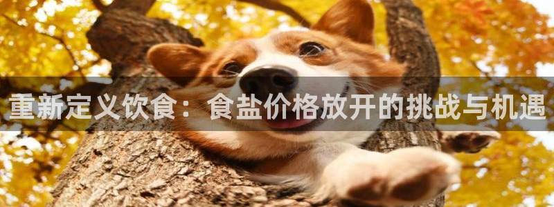 威九国际电视怎么样