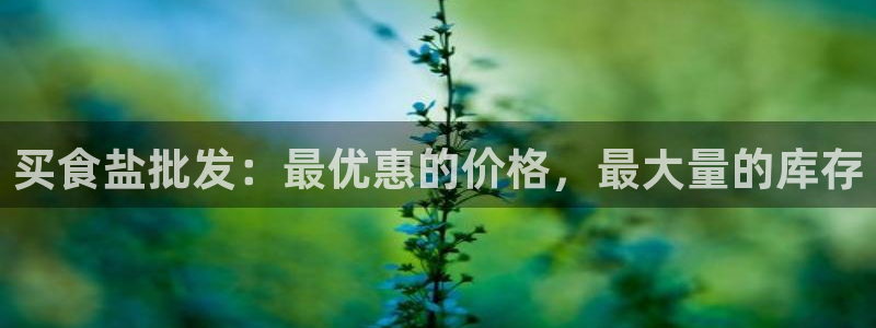 78.m威九国际官网版