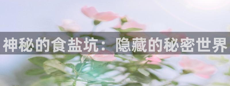 威九国际和之前