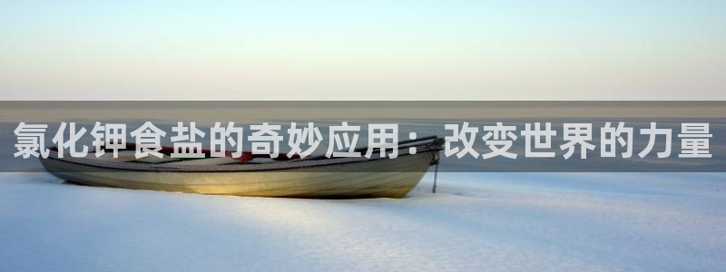 威九国际网站入口官网首页下载