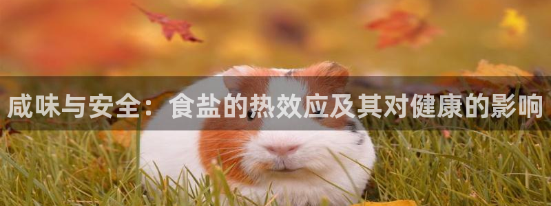 威九国际网站进入公司不断创新