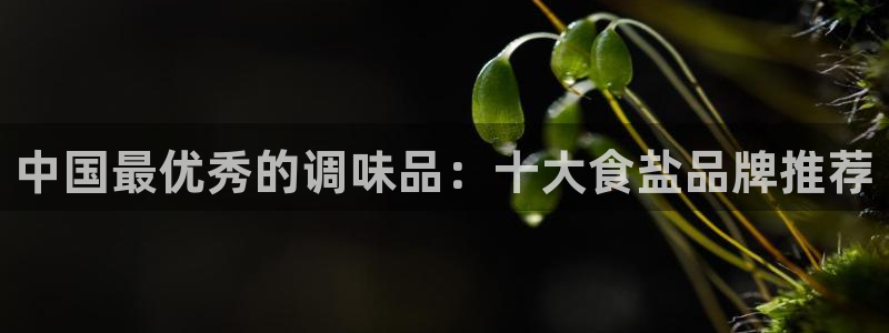 保定威九网络科技有限公司电话