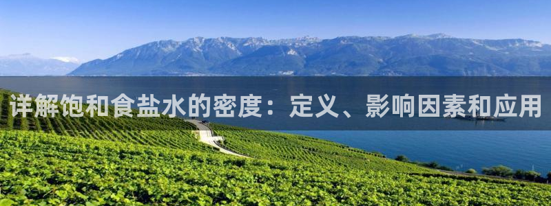 威九国际如何下载