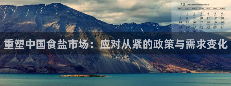 威九国际电子有限公司