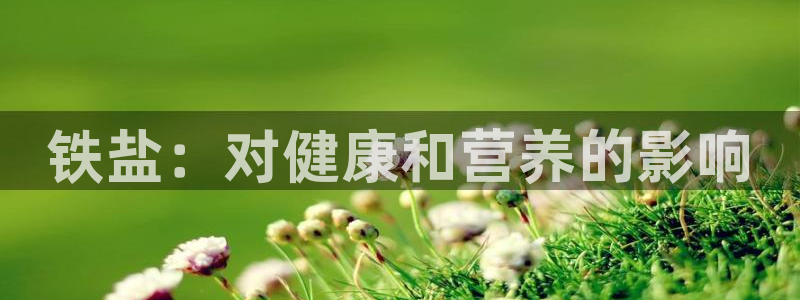 保定威九网络科技有限公司怎么样