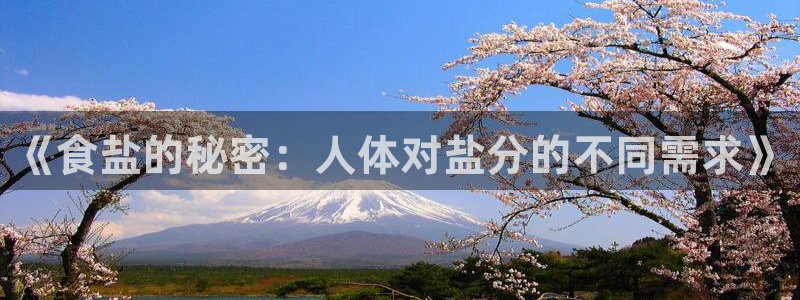 威九国际v96bet官网版