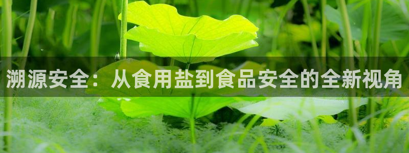 威九国际网站是多少