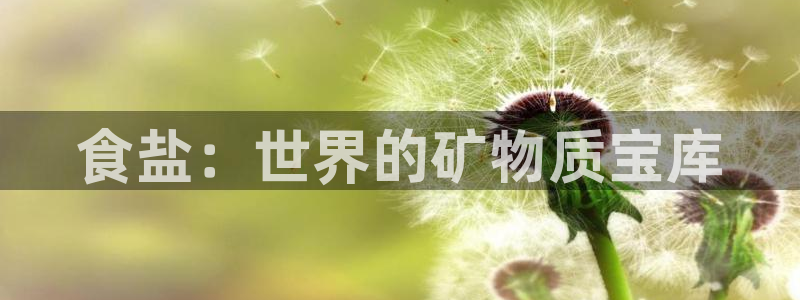 78mapp威九国际免费官方版下载