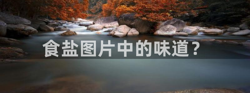 威九国际66m66官网