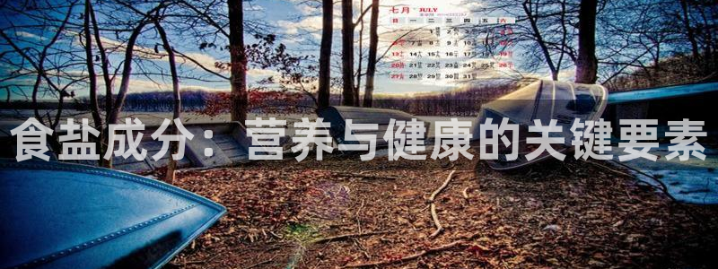 威九国际官网登录入口下载