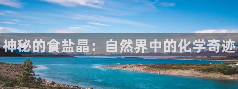 威九国际78mob官网版